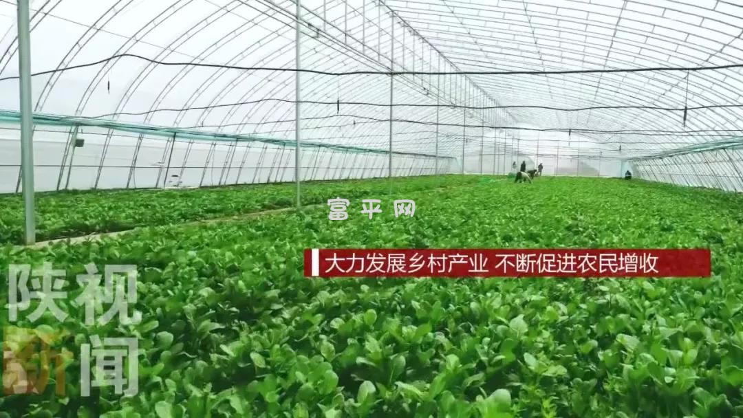 微信图片_20190326091314.jpg