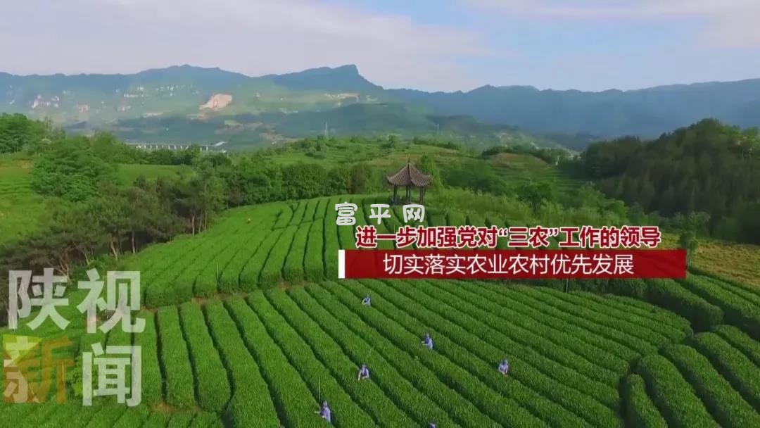 微信图片_20190326091326.jpg