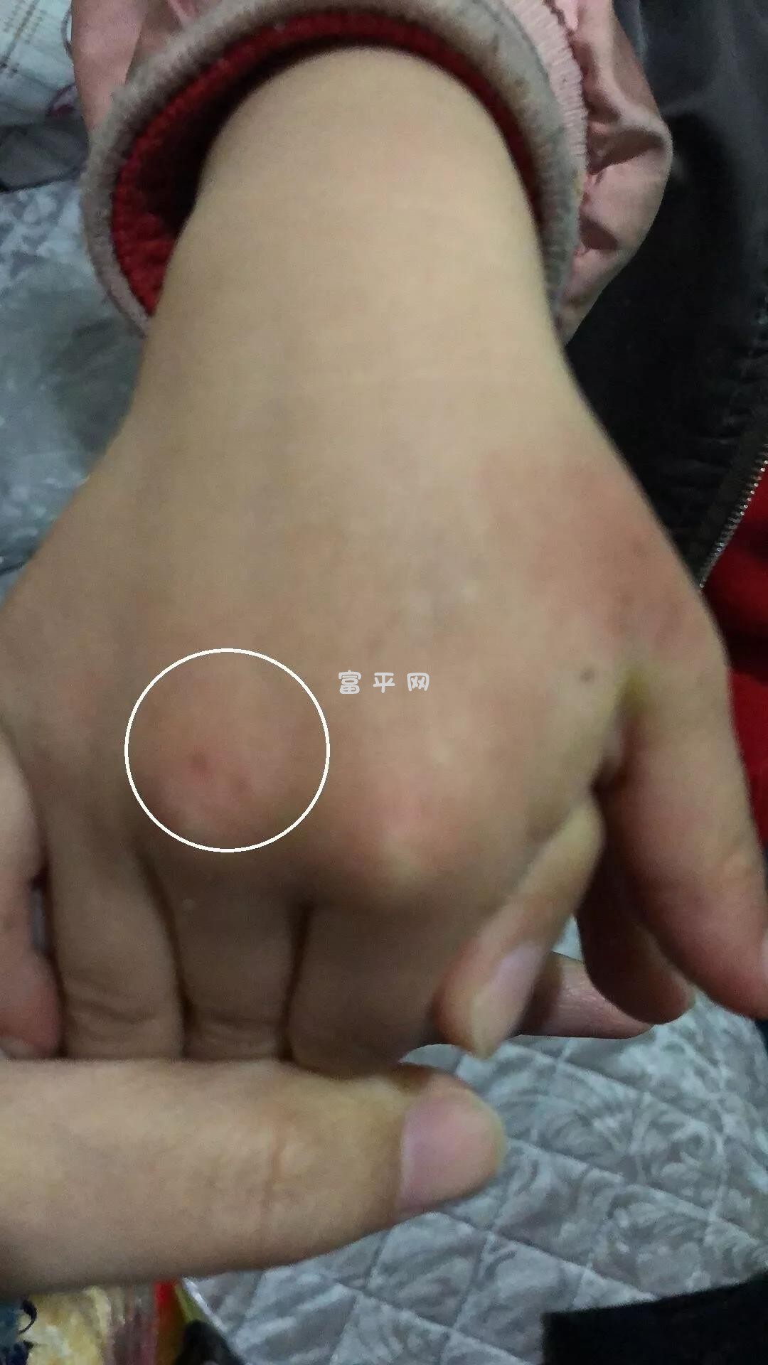 微信图片_20190418233125.jpg
