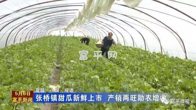 微信图片_20190508230251.jpg