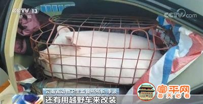 微信图片_20191228225722.jpg