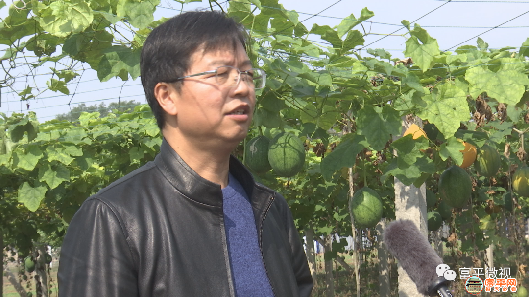 微信图片_20201021003450.png