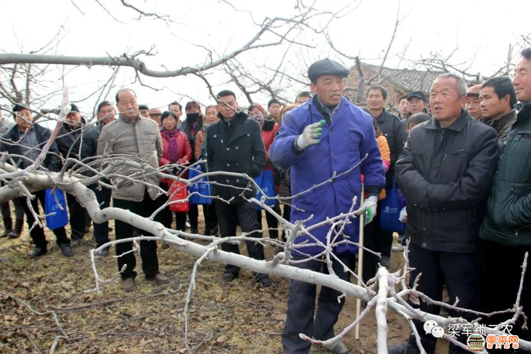 微信图片_20201119144743.jpg