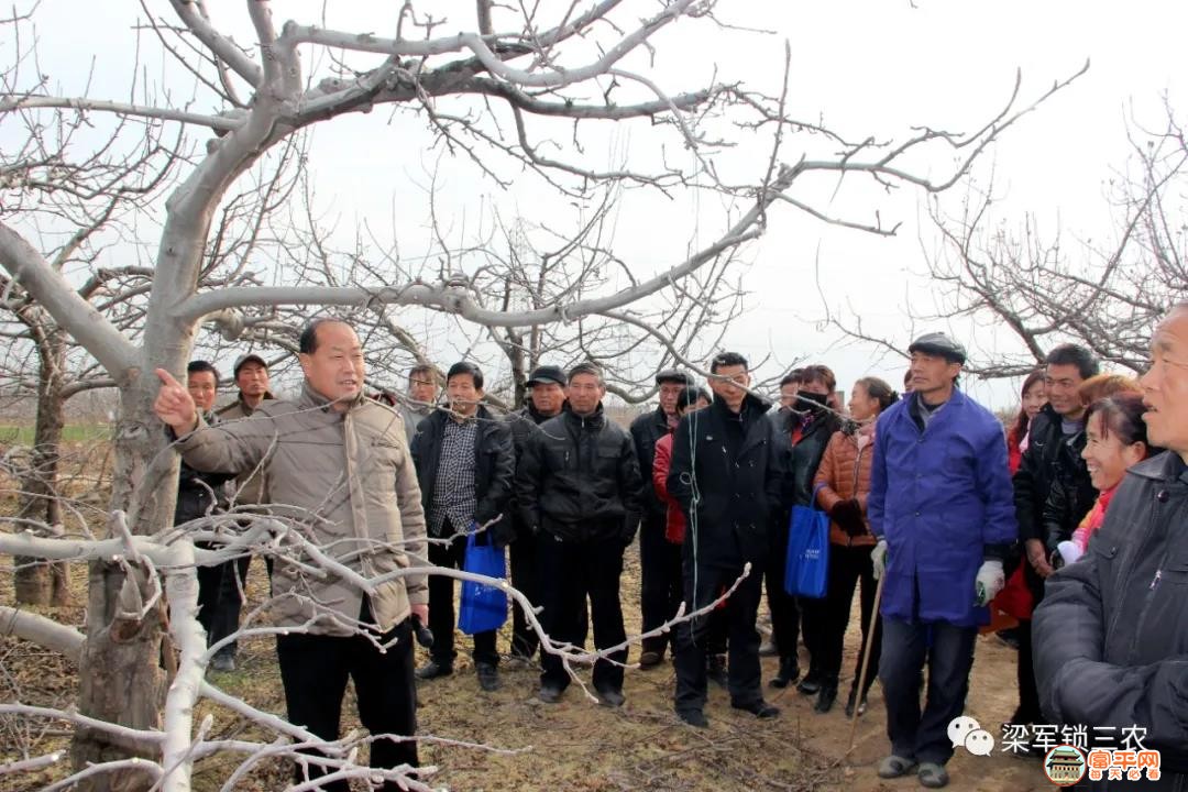 微信图片_20201119144747.jpg