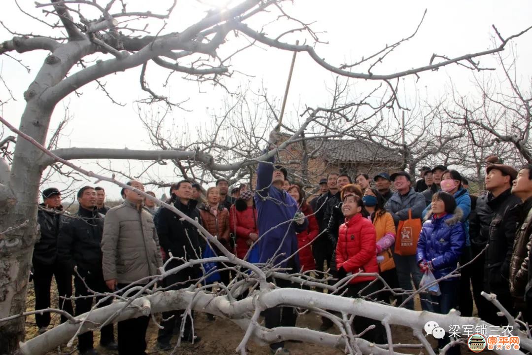 微信图片_20201119144751.jpg
