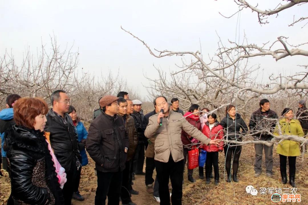 微信图片_20201119144755.jpg
