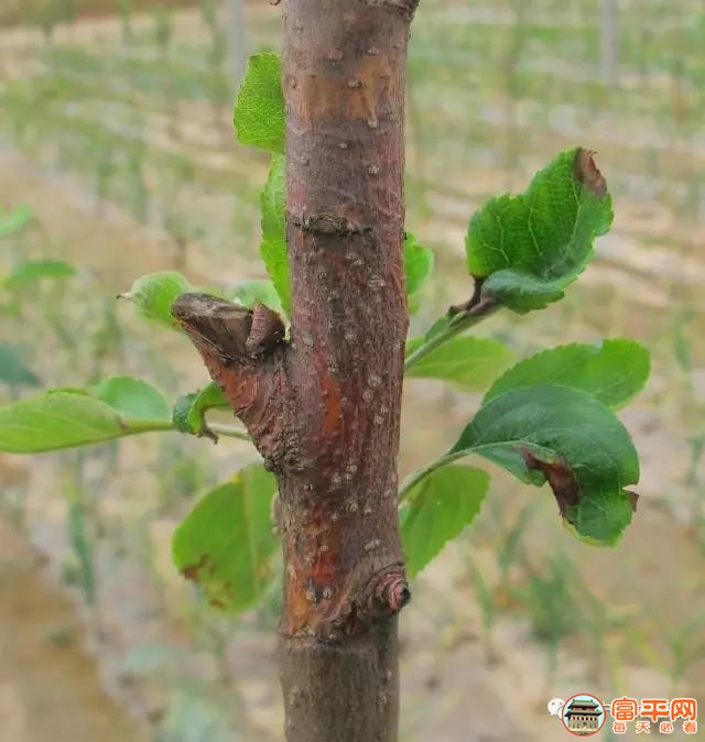 微信图片_20201225040049.jpg