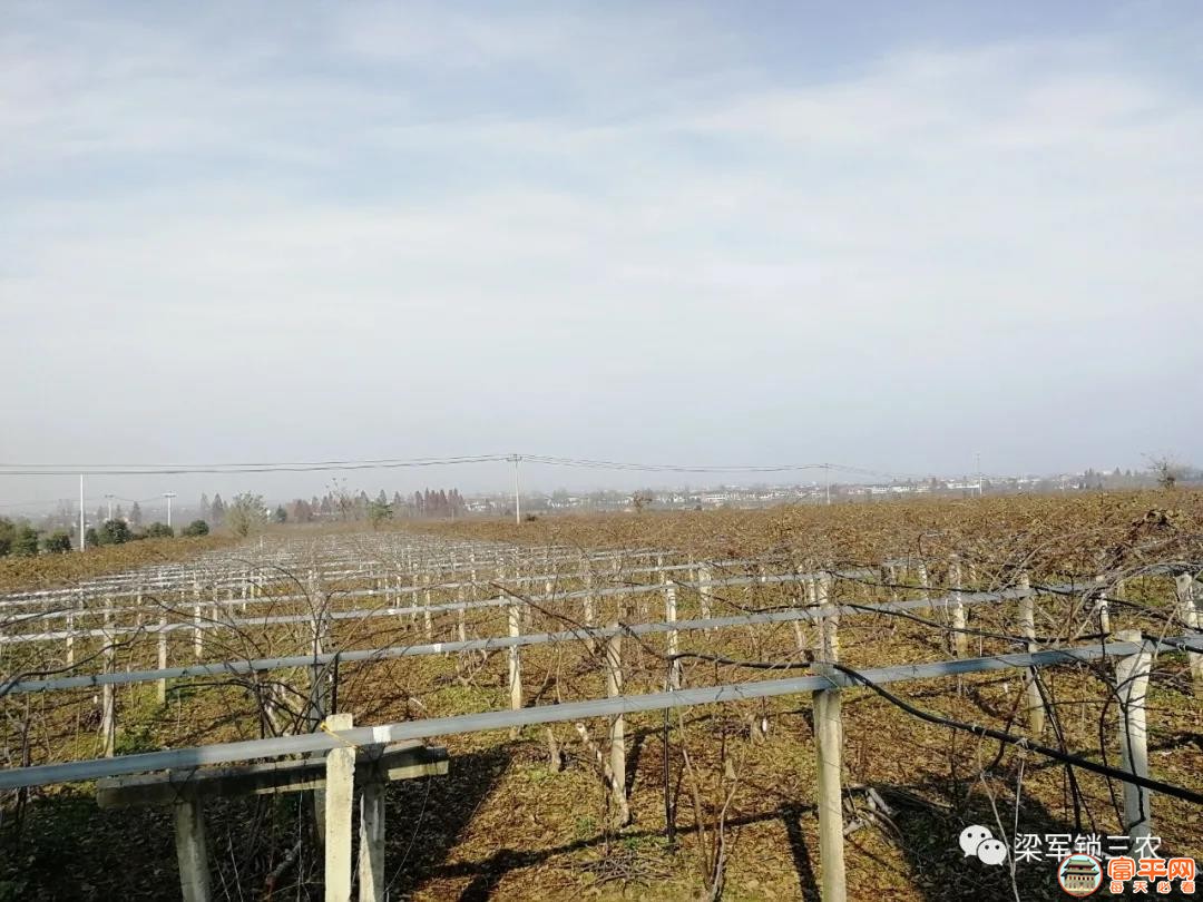 微信图片_20201228000502.jpg