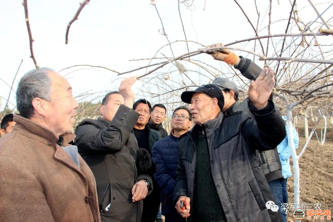 微信图片_20201228000509.jpg