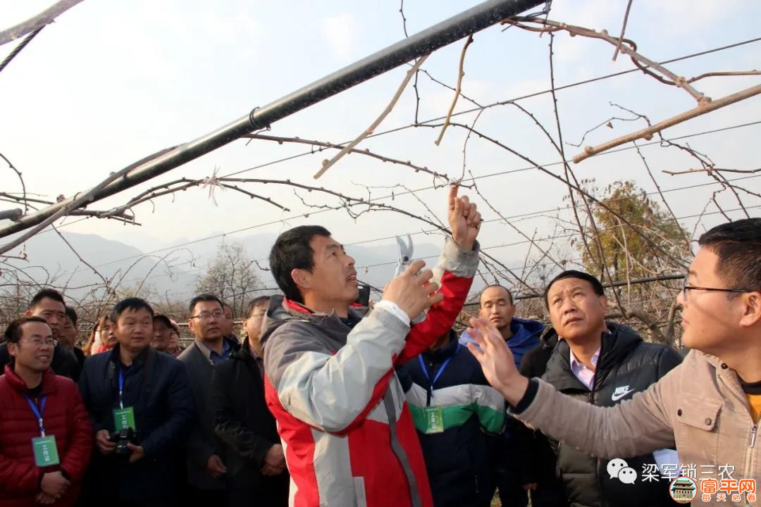 微信图片_20201228000519.jpg