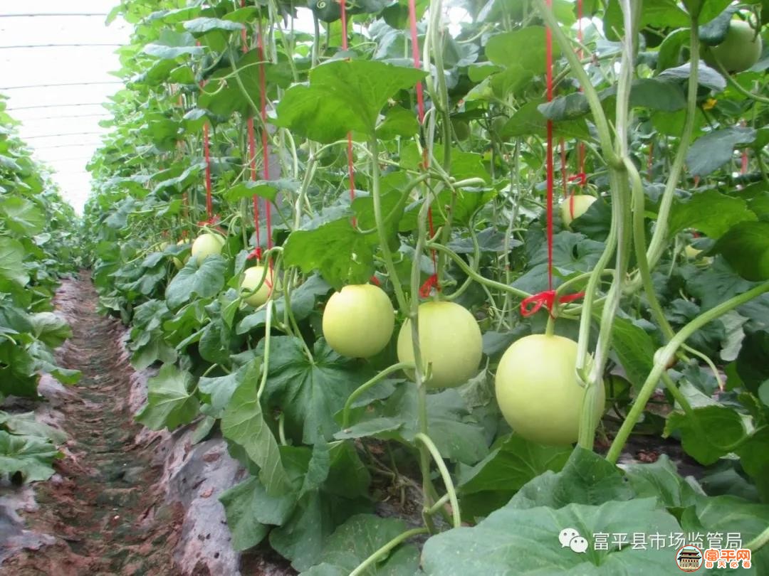 微信图片_20210923163745.jpg