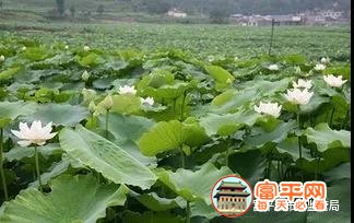 微信图片_20210923163940.jpg