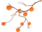 05796ee45ac1e175ae6a8ac0fb2f1f35.png