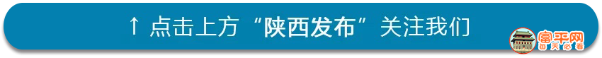 87d6a6f73bfbc309ad29f9f9390868fb.png