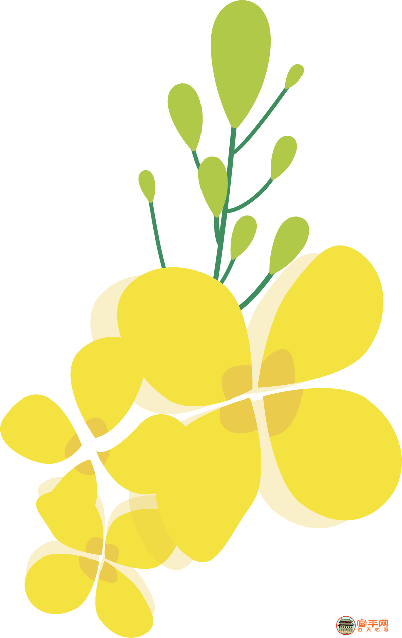 174520us0c8pyylmylzzv6.png