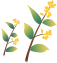 143141p4nqil6343e41cj5.png