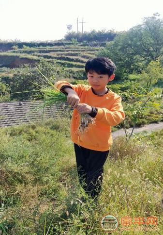 微信截图_20230626160328.jpg