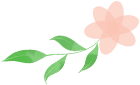 084421t31fd1f88f0r8fv8.png