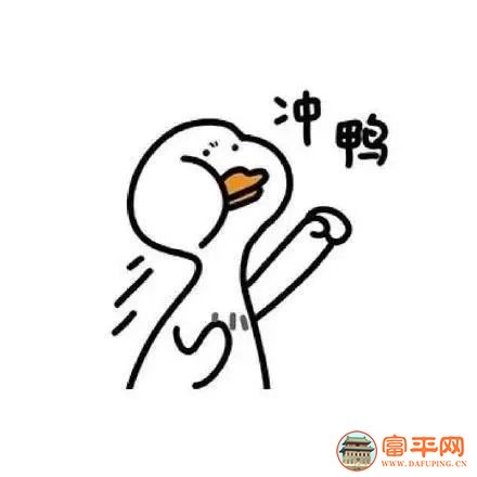 151651z6o4vkd9if69cf4o.jpeg
