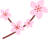 172142x2xvrux2cvk449bk.png