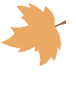 084857nzn300qy5g2455rz.png