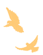 082512dfqor7vrqo77ryy4.gif
