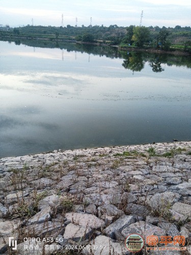 IMG20240610195935.jpg