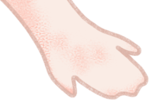 211634tmjzcq91b1xcujg8.png