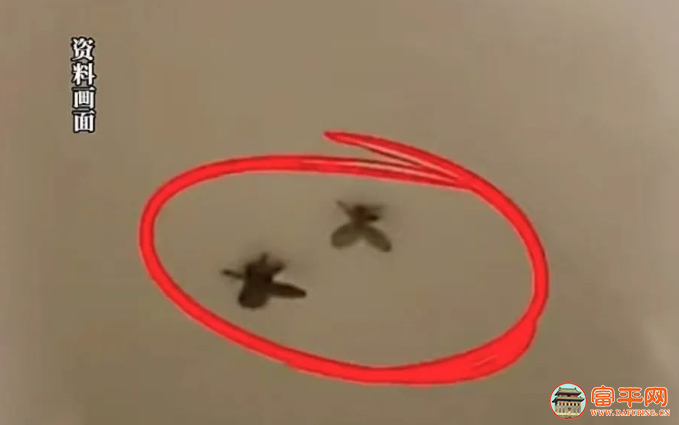 190426koov9o1oe1n1fio1.png