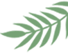 192443ezyaazb6l7gbbh7g.png