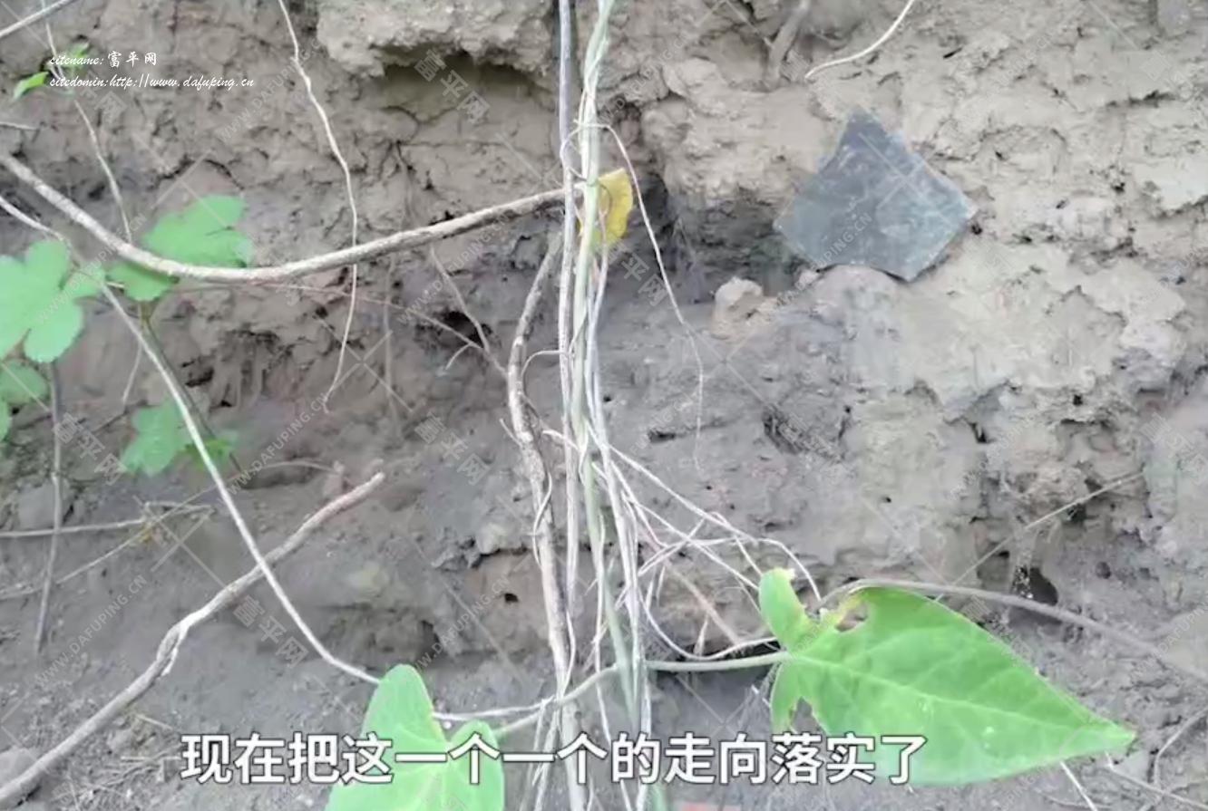 微信截图_20240730213503.jpg