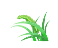 155041khyrcwm9r198r746.gif