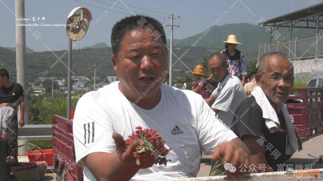 155451lfb6tthxexzxhonx.png