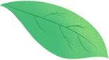 191533sho6h0dcdcbh4cqh.png
