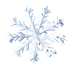 210945t3bc23ebynl5njf3.gif