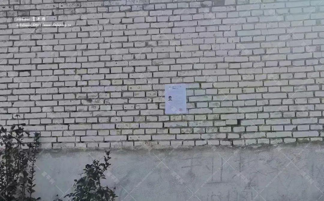 172848nscfvddsof6vw1py.jpeg
