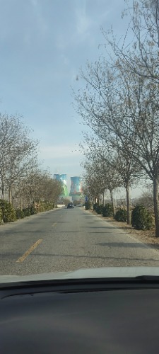 IMG_20250209_093100.jpg