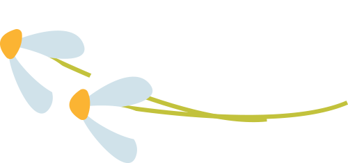 204930chpi4ars388dmip3.png