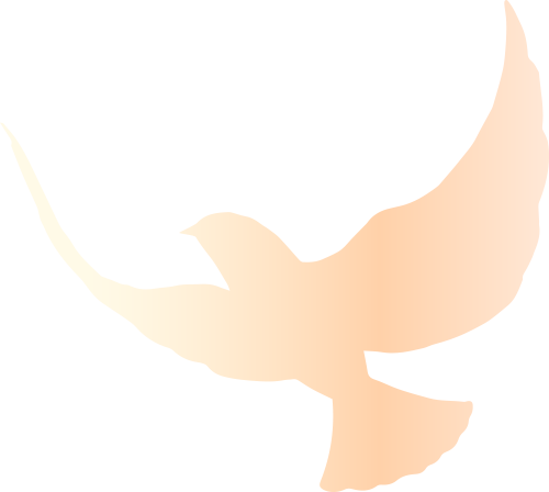 172905nj6qfe0fctjzth00.png