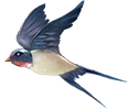 105811ot7a6zftsszw78gt.png