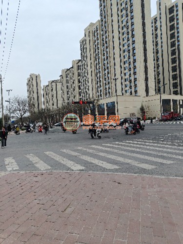 IMG_20250402_174649.jpg