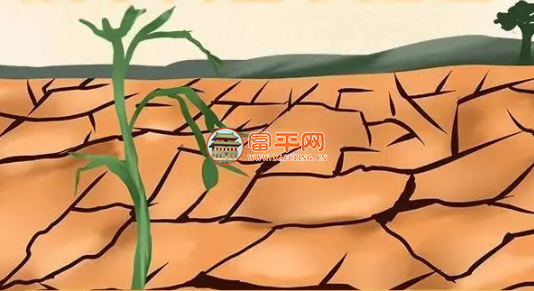 193856qnavhaa8dg8nsasp.png