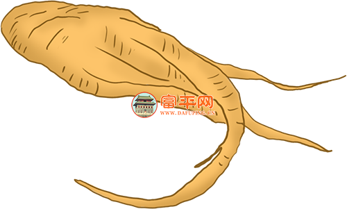 152145d7fi5p0fz5fs05pf.png