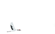 152145h6btjs2awy4aluzq.png