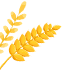 083233ql3pww7l6fwp7prz.png