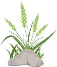 083307d4s1bu7jokkcjr7j.png