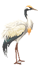 202344ufdn99ki0adclk0a.gif