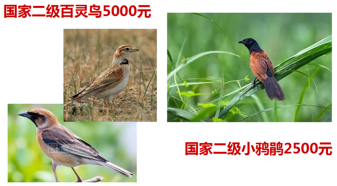 210718a4cs7vuszh6u9sv4.png
