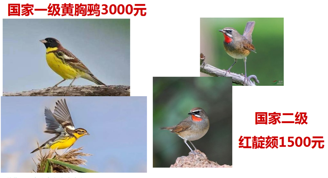 210718h2009693sy0y83pa.png