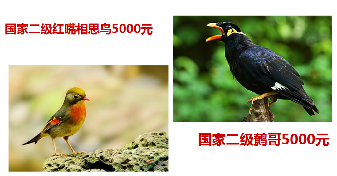 210718o5nxw9bs9ww99sv3.png